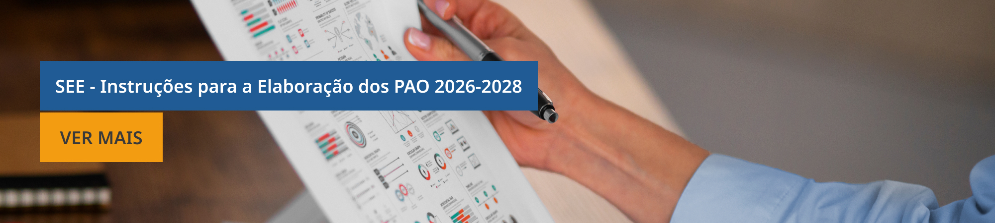 SEE - Instruções para a Elaboração dos PAO 2026-2028
