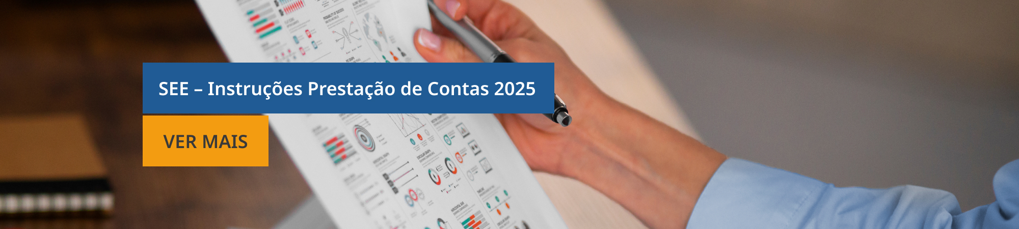 SEE - Instruções para a Elaboração dos PAO 2026-2028